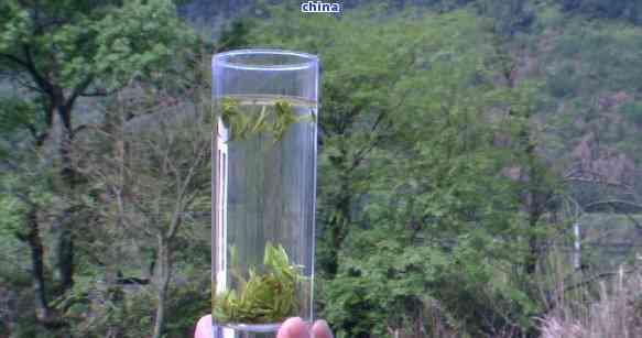 小布岩茶是什么茶,属于什么茶种和茶类?请访问小布岩茶官网获取详细信息。 小布岩茶是什么茶,属于什么茶种和茶类?请访问小布岩茶官网获取详细信息。