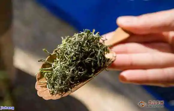 婺源产什么茶,探秘中国最美乡村:婺源的特色茶叶种类 婺源产什么茶,探秘中国最美乡村:婺源的特色茶叶种类