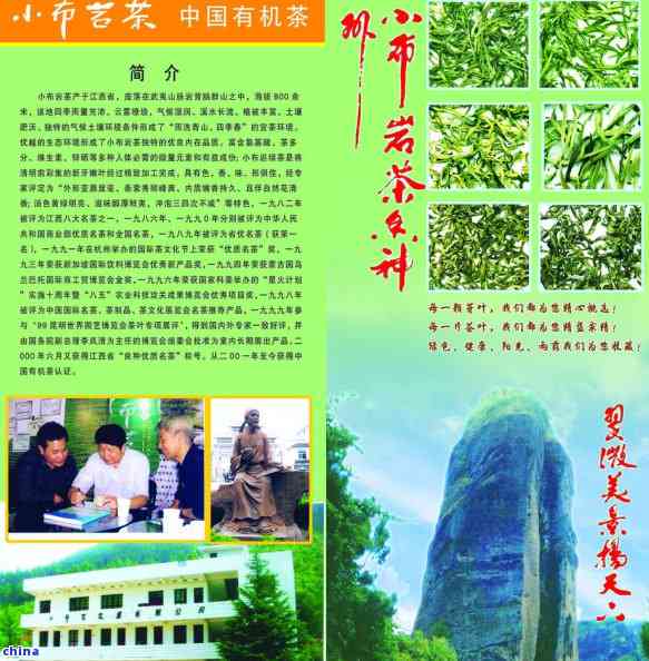 小布岩茶是什么茶,属于什么茶种和茶类?请访问小布岩茶官网获取详细信息。 小布岩茶是什么茶,属于什么茶种和茶类?请访问小布岩茶官网获取详细信息。