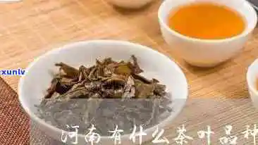 河南十大名茶有哪些-河南十大名茶有哪些图片及价格 河南十大名茶有哪些-河南十大名茶有哪些图片及价格