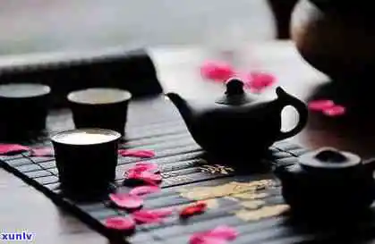 河南名茶品种全览:名称、图片一网打尽