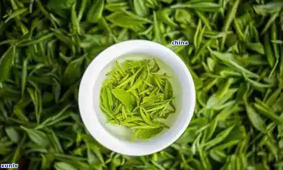 河南省十大名茶,探寻河南之美:揭秘十大名茶的魅力