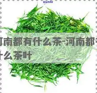 河南十大名茶有哪些-河南十大名茶有哪些图片及价格 河南十大名茶有哪些-河南十大名茶有哪些图片及价格
