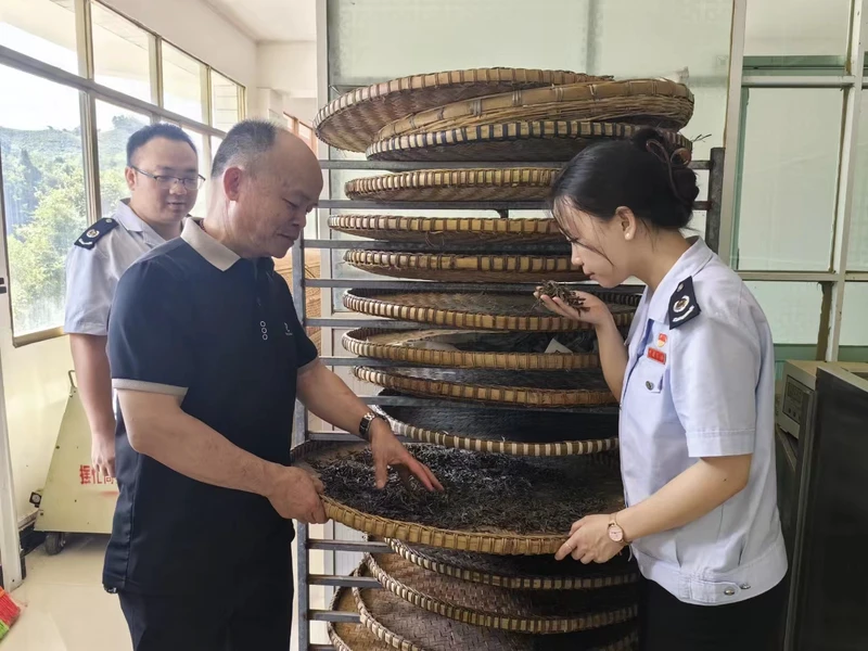 税务部门工作人员走访茶企。
