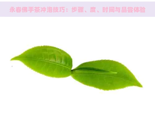 永春佛手茶冲泡技巧：步骤、度、时间与品尝体验