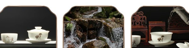 信阳红茶品茗1.png 信阳红茶品茗1.png