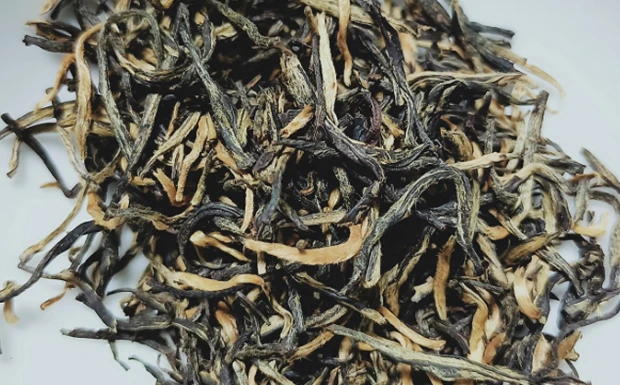 信阳红茶.png 信阳红茶.png